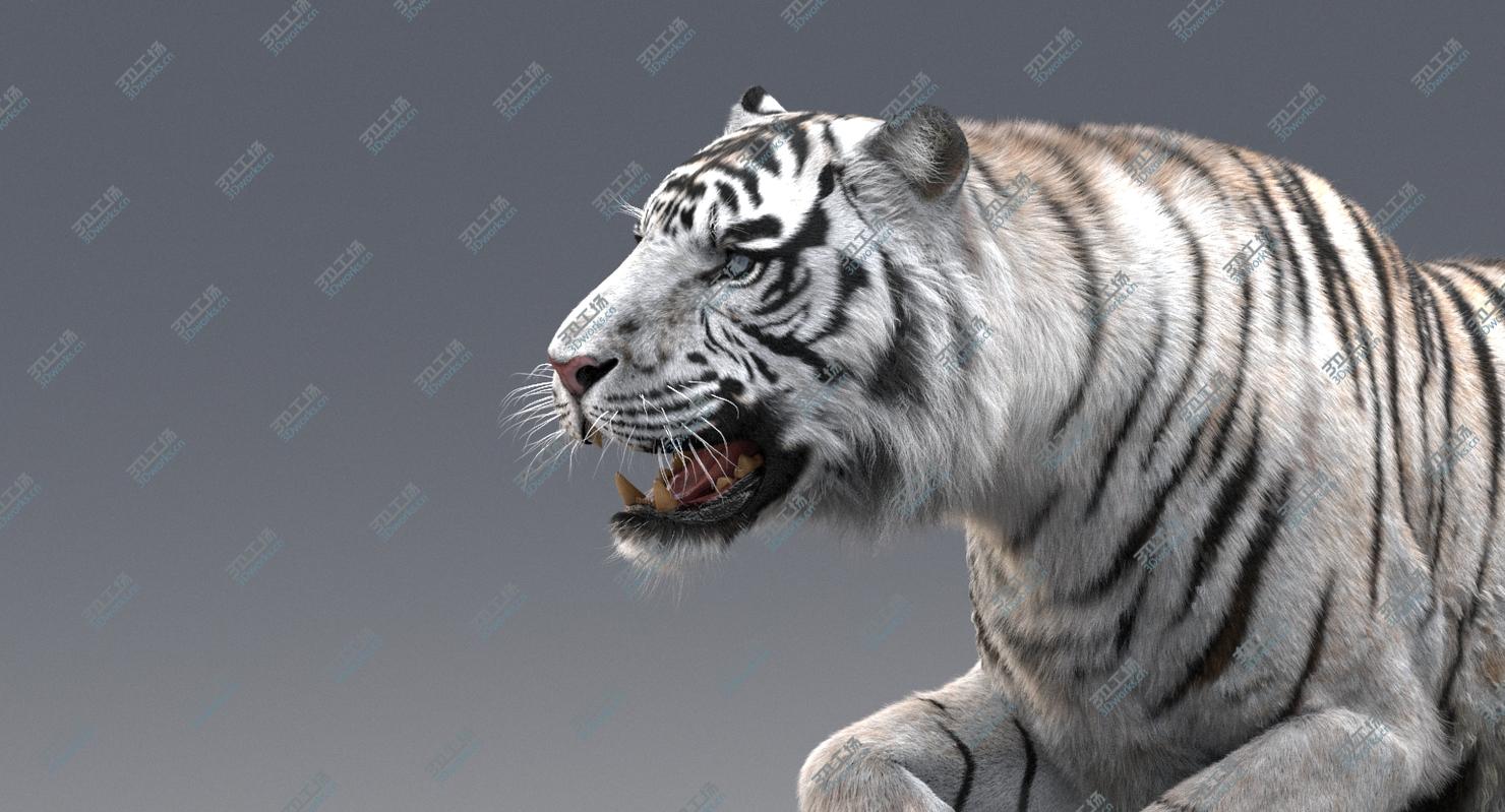 images/goods_img/202104094/3D White Tiger Animated (Fur)/3.jpg